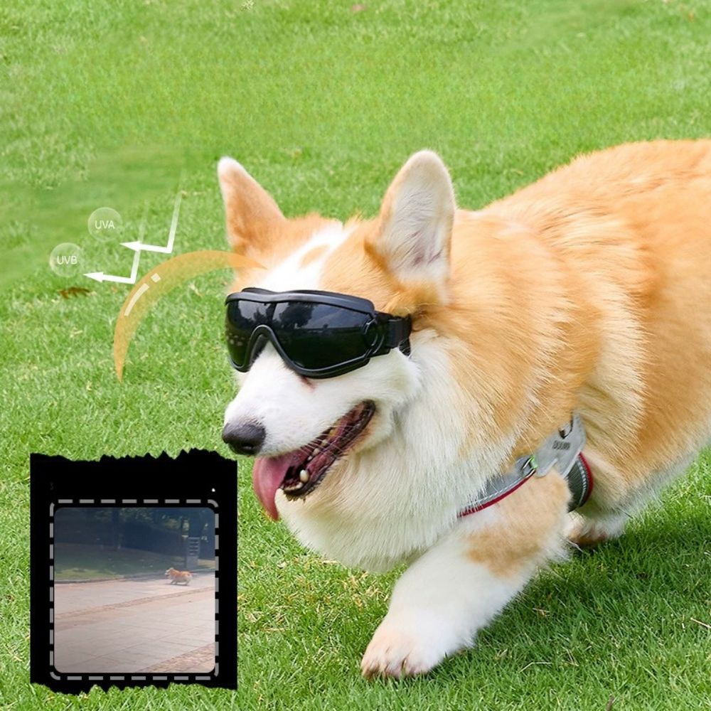 Adjustable UV Protection Dog Goggles – Stylish Pet Sunglasses for Outdoor Adventures