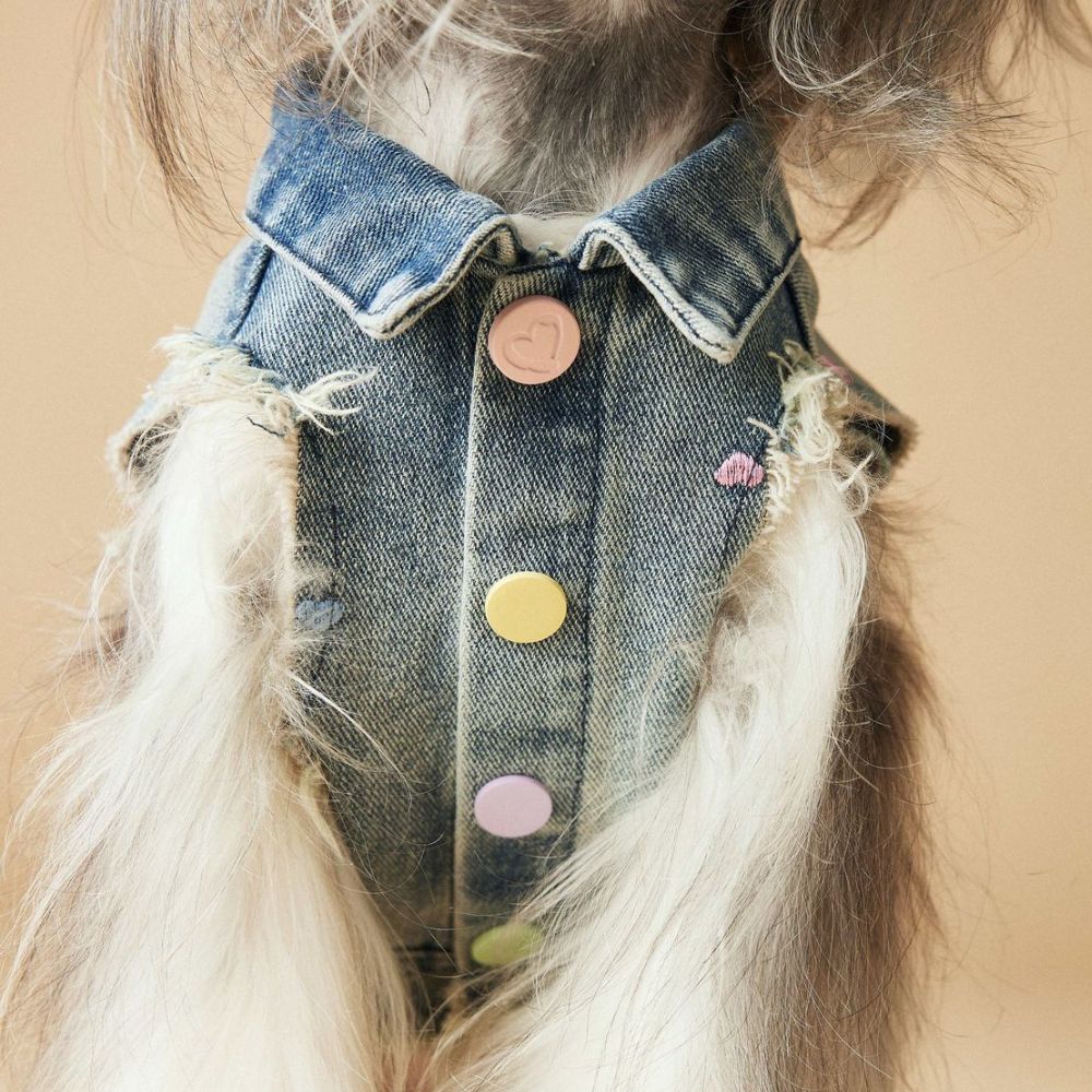 Spring Summer Embroidered Frayed Denim Dog Vest