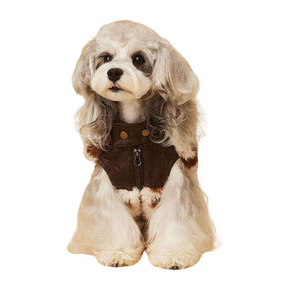 Warm Patchwork Dog Vest for Fall Winter