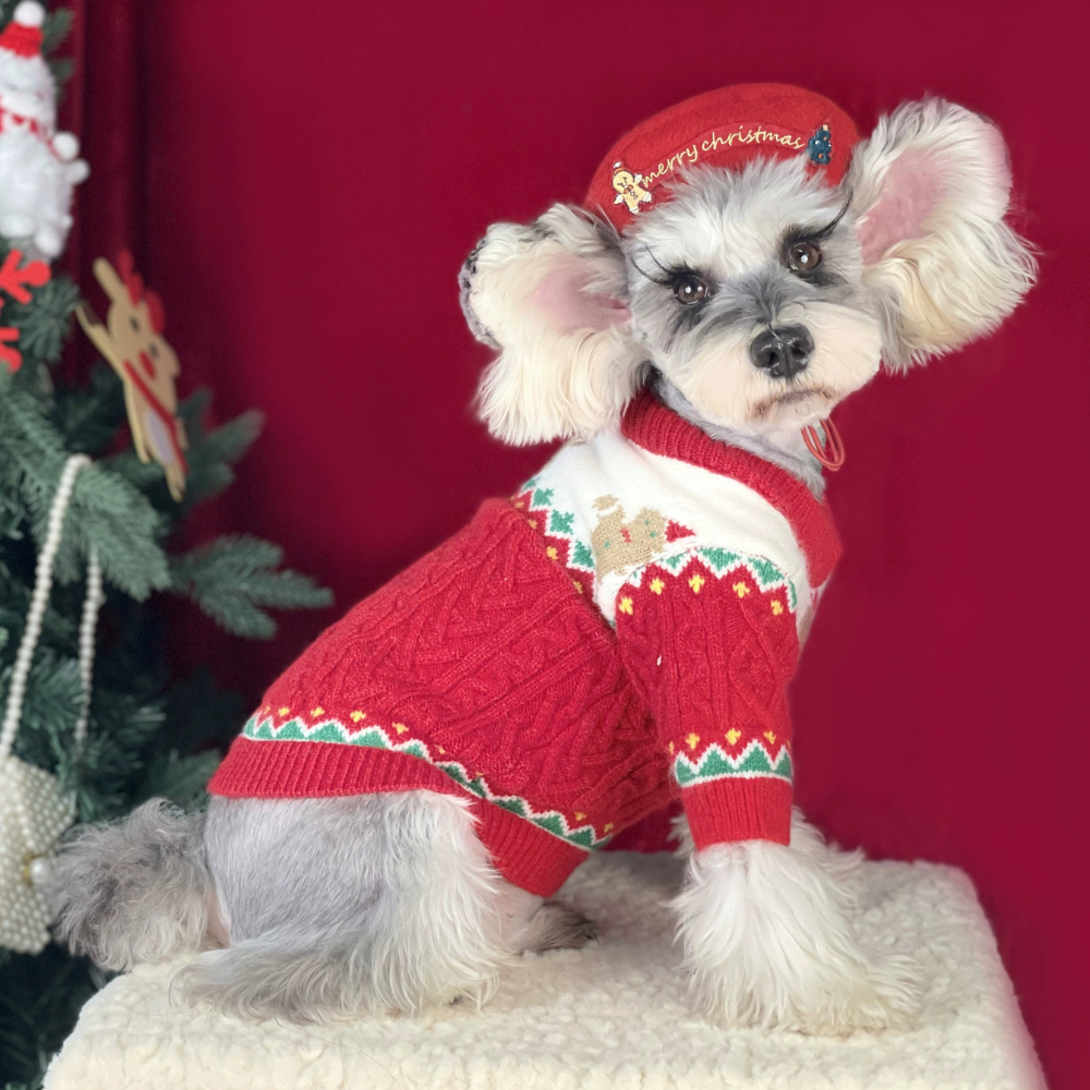 Dog Christmas Sweater Red Warm Knit Winter Clothes for Small Medium Dogs