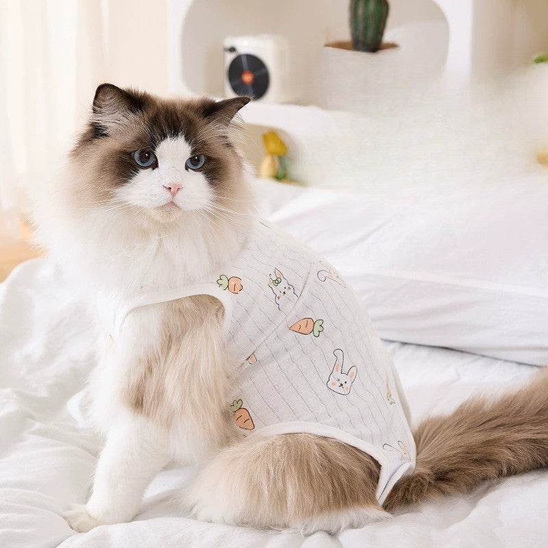 Cat Recovery Suit – Anti-Lick Post-Surgery Outfit for All Seasons
