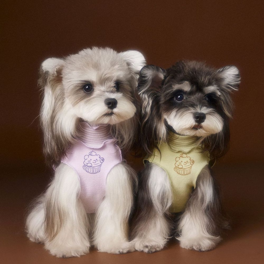 Autumn Reversible Striped Ruffle Undershirt Sleeveless Dog Vest