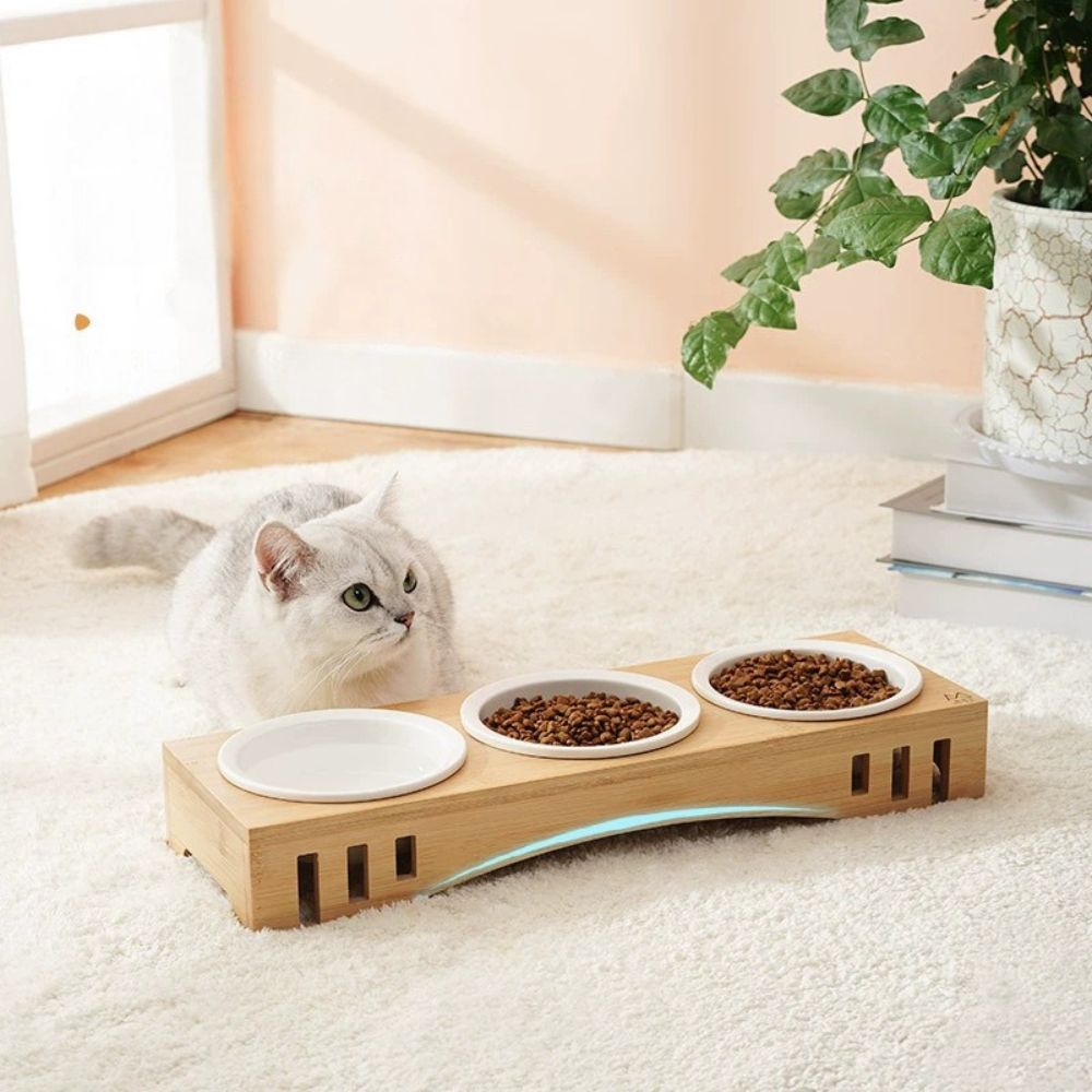Elevated Ceramic & Bamboo Double Pet Bowl Stand
