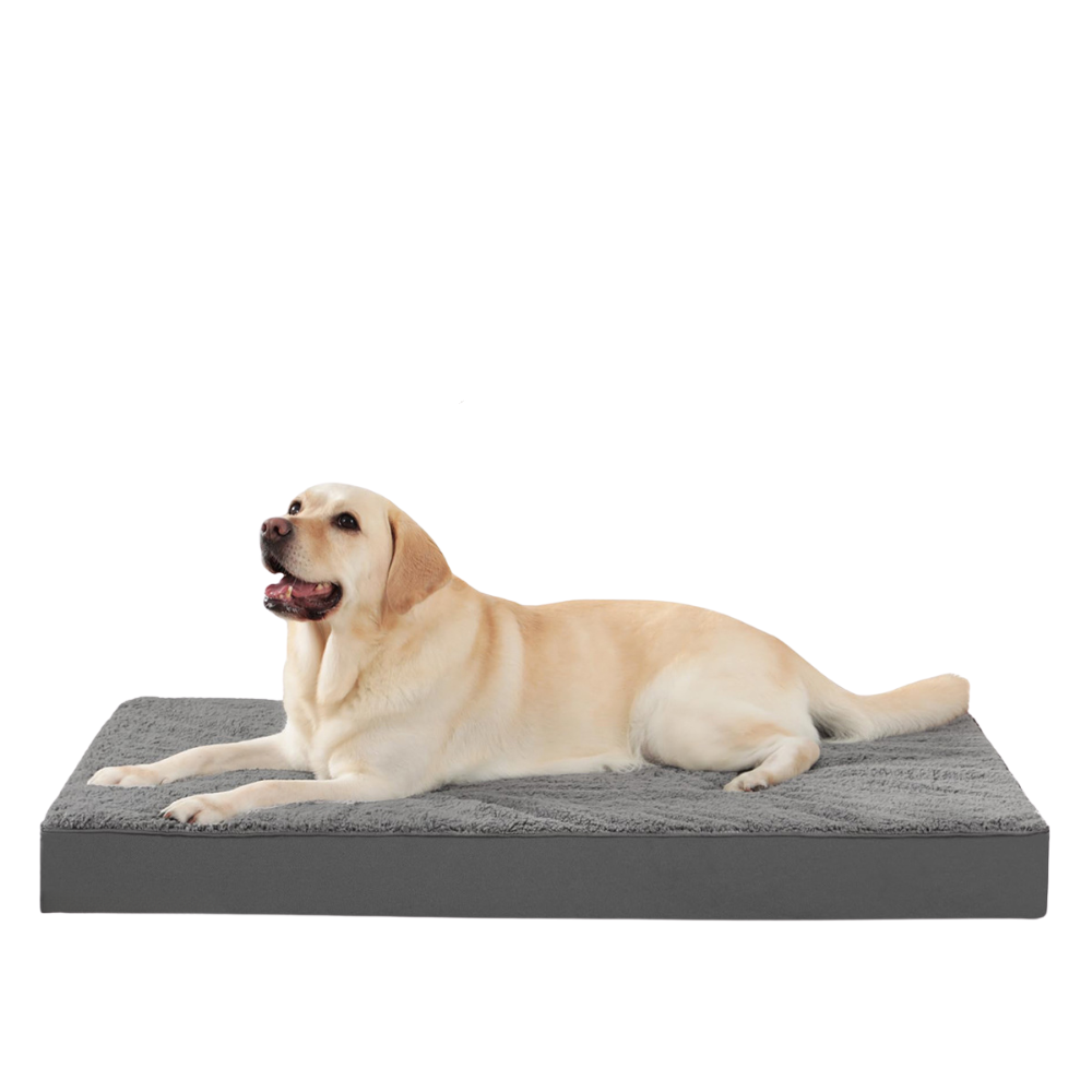 Durable Scratch-Resistant Rose Plush Dog Bed