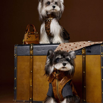 Autumn Vintage Cool Sleeveless Leather Dog Vest