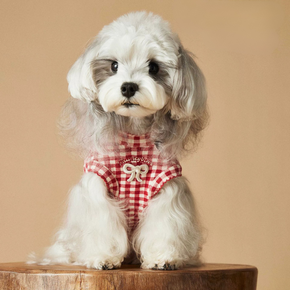 Red Plaid Dog Vest for Small Dogs