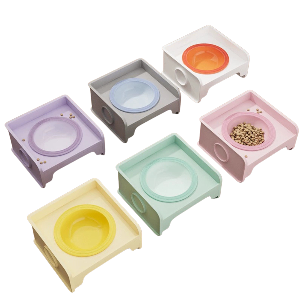Modular Elevated Plastic Pet Bowl with Anti-Spill Design