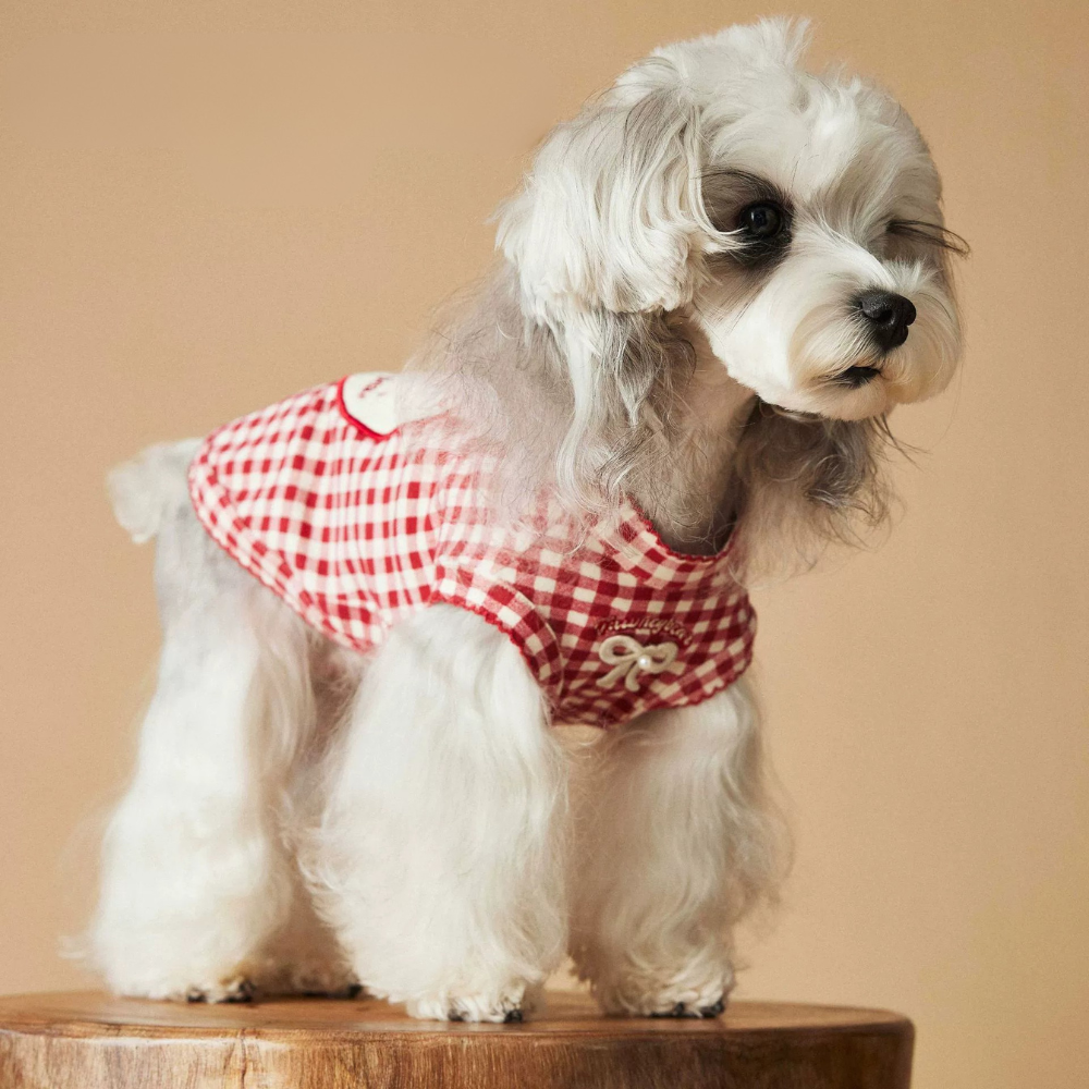 Red Plaid Dog Vest for Small Dogs