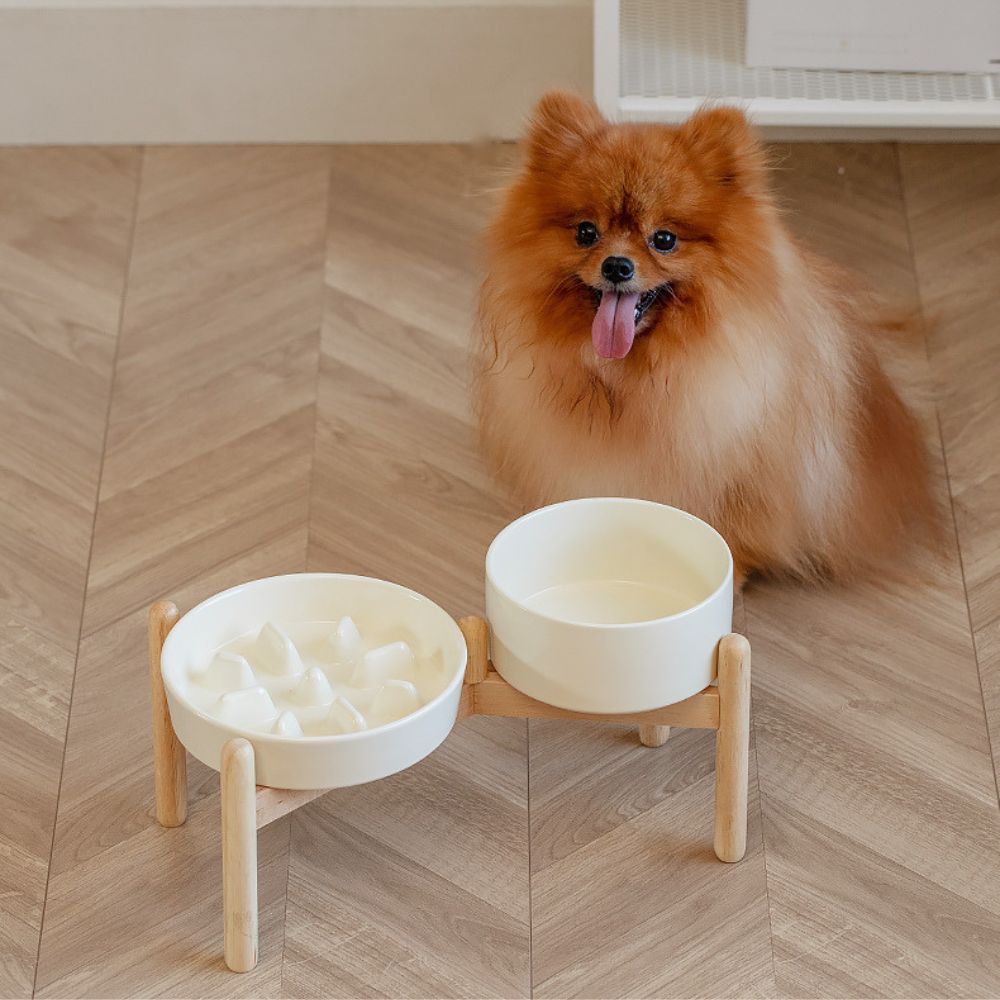 Elevated Ceramic Slow Feeder Dog Bowl with Wooden Stand
