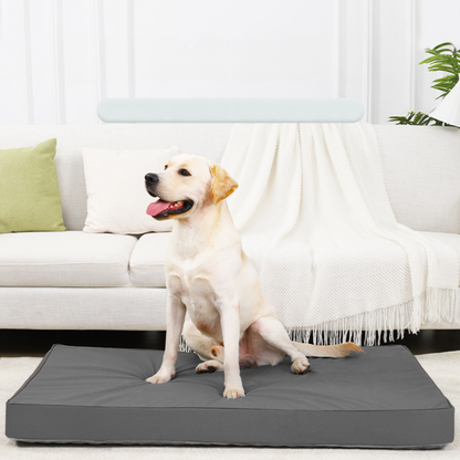 Waterproof Leather Washable Spring Summer Dog Bed