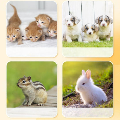 Anti-Choke Silicone Pet Feeding Bottle for Puppies and Kittens