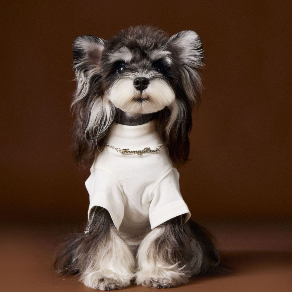 Stylish Solid Color Dog Necklace Two Leg Undershirt Shirt