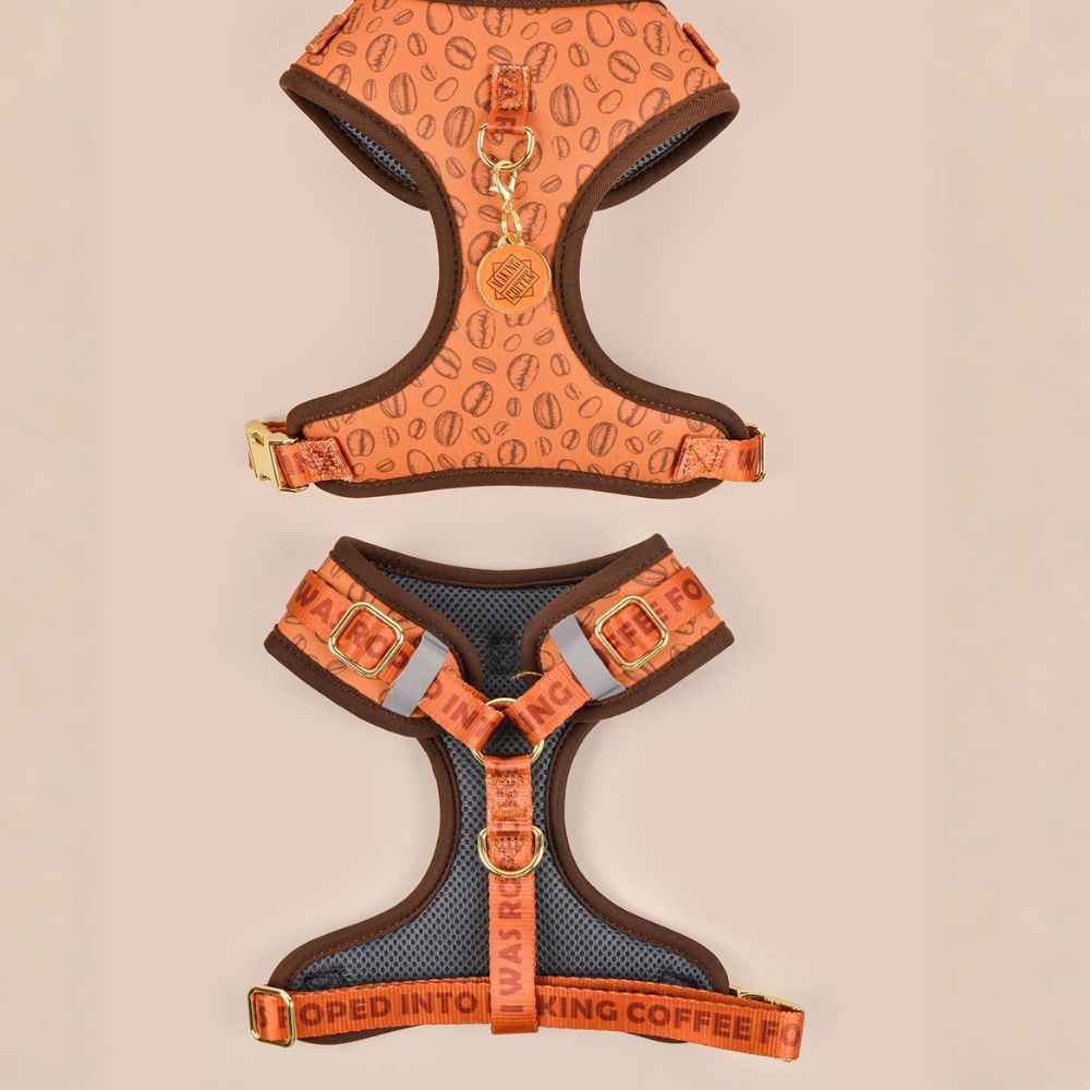 Prints and Durable Dog