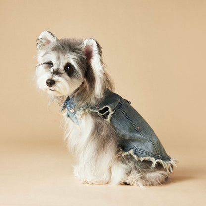 Spring Summer Embroidered Frayed Denim Dog Vest