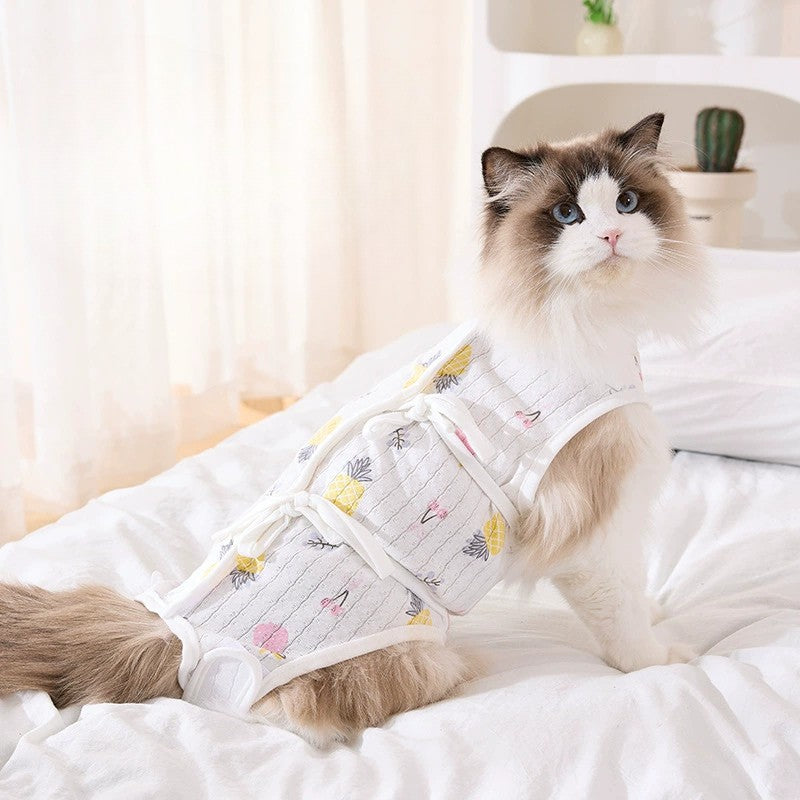 Cat Recovery Suit – Anti-Lick Post-Surgery Outfit for All Seasons