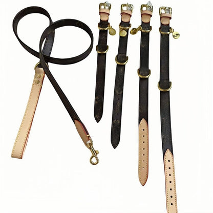 Murakami Style Genuine Leather Dog Collar with Gold Buckle