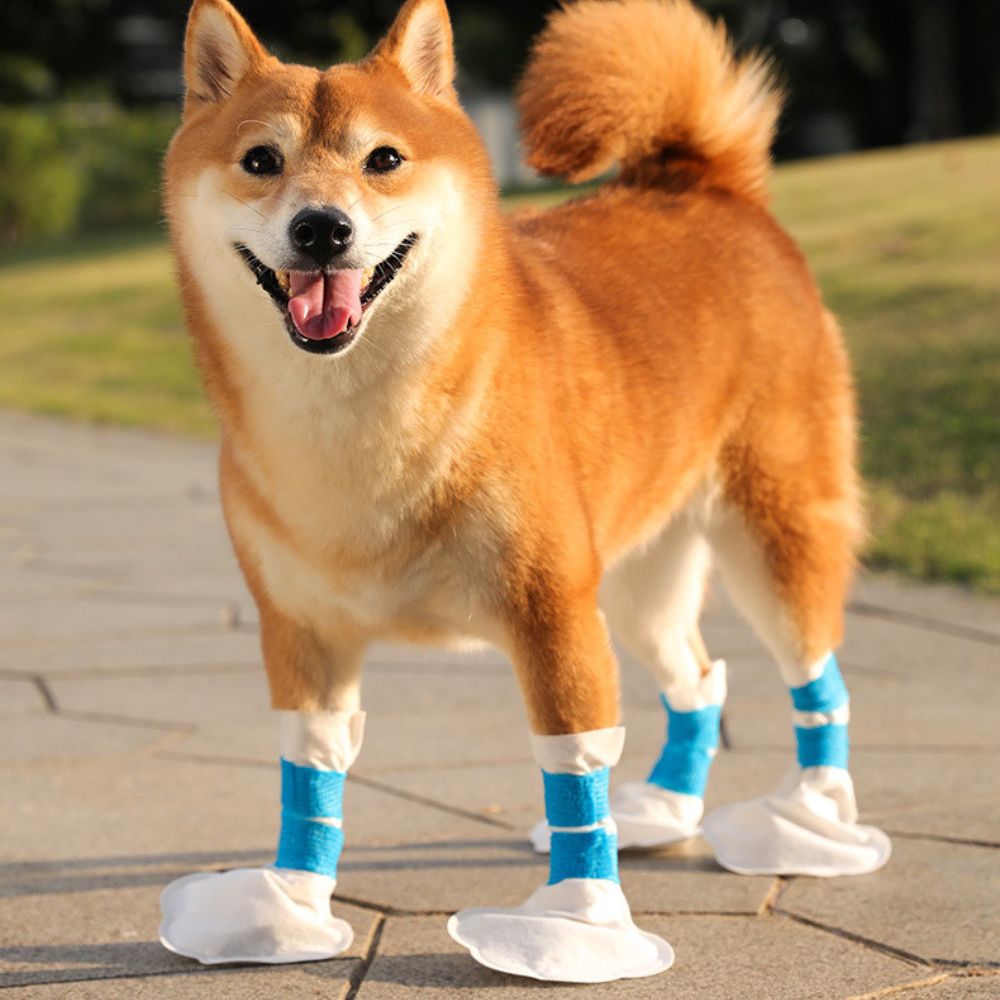 Disposable Waterproof Dog Shoe Covers – Outdoor Pet Boots