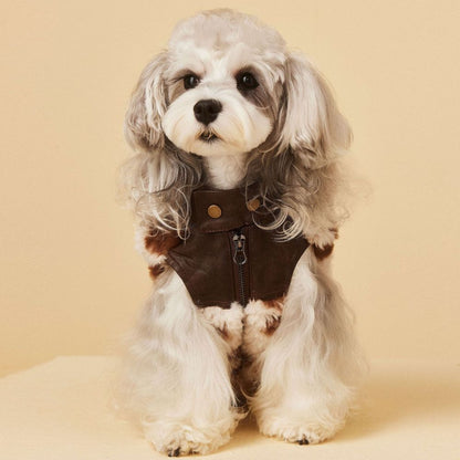 Warm Patchwork Dog Vest for Fall Winter