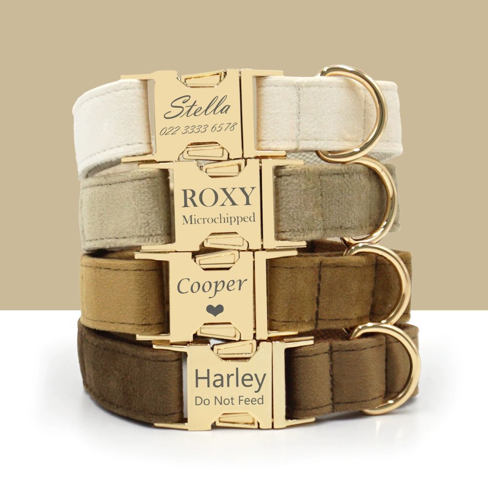 Personalized Velvet Dog Collar with Custom Engraved Metal Buckle
