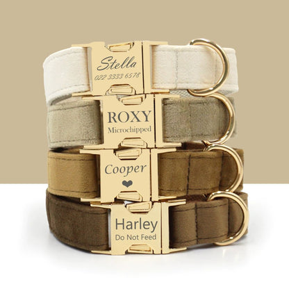 Personalized Velvet Dog Collar with Custom Engraved Metal Buckle