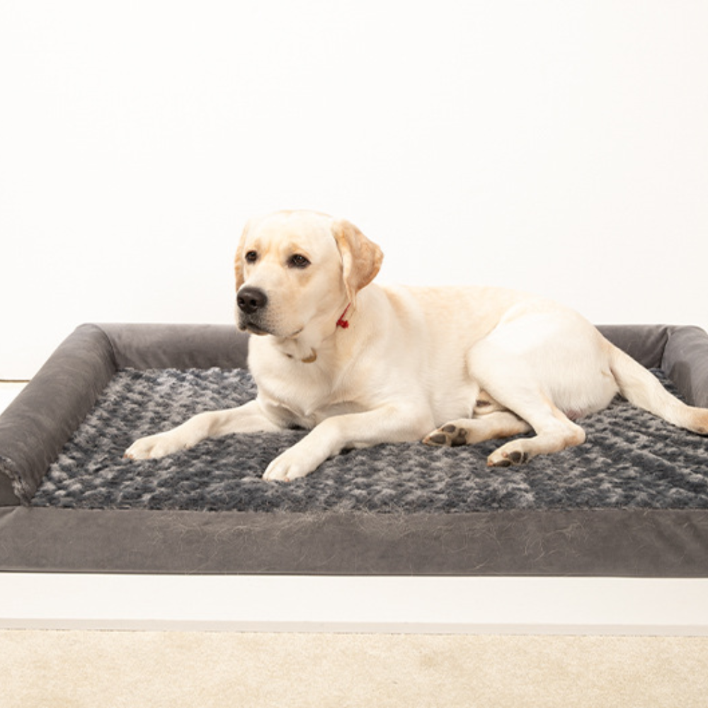 Waterproof Memory Foam Plush Dog Bed
