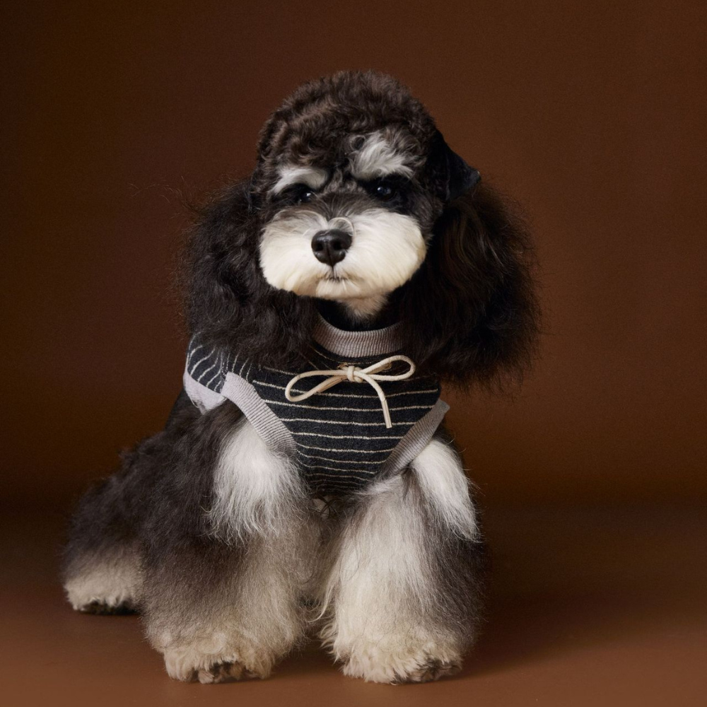 Dog Autumn Striped Sleeveless Hoodie