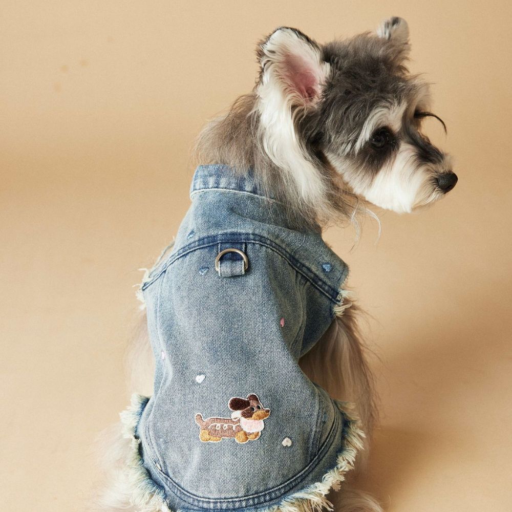 Spring Summer Embroidered Frayed Denim Dog Vest