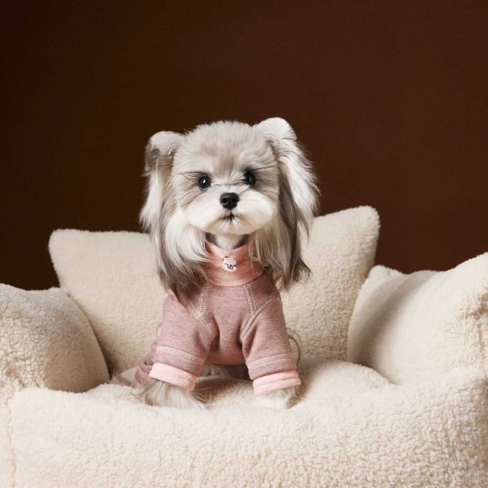 Autumn Winter Cozy Color-Block Silk Wool Dog Base Shirt