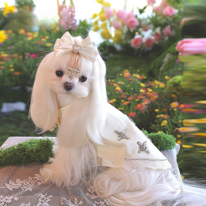 High-end pet dress with rhinestones for small breed dogs