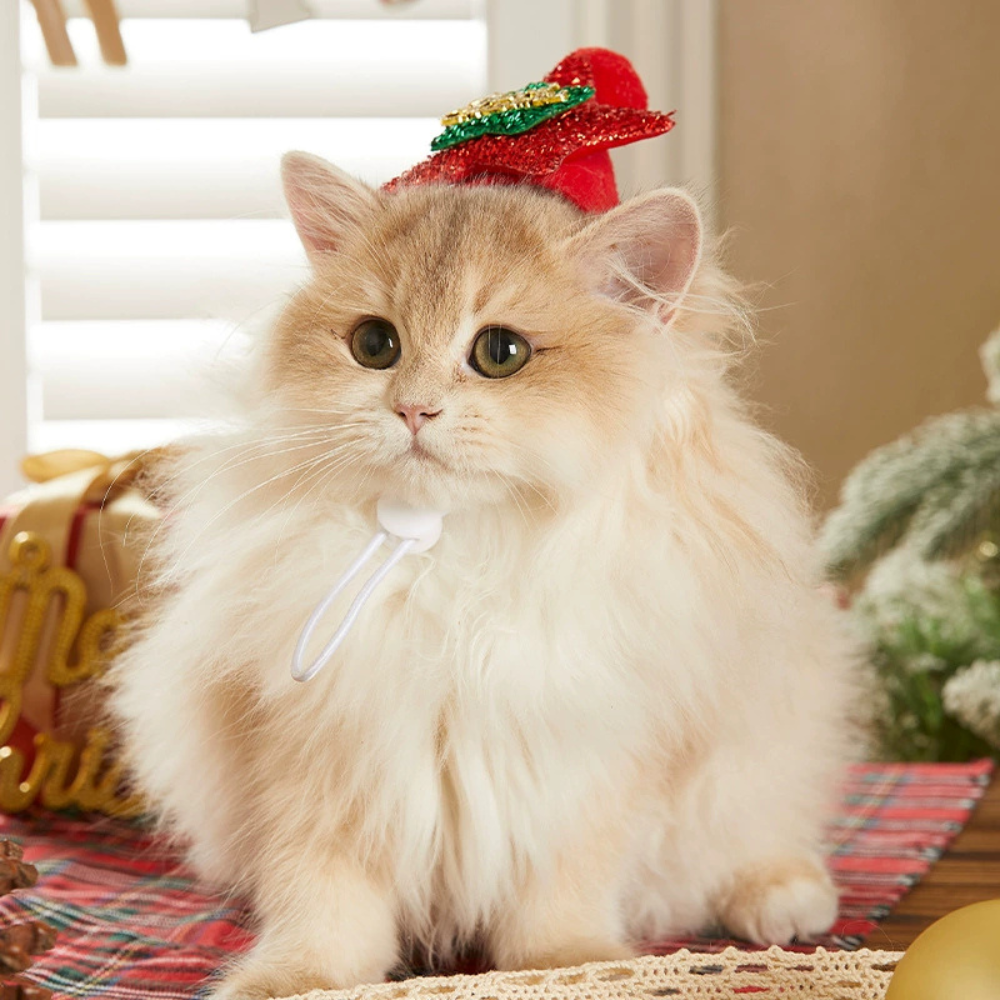 Pet Christmas Hat & Scarf – Festive Accessories for Cats and Dogs