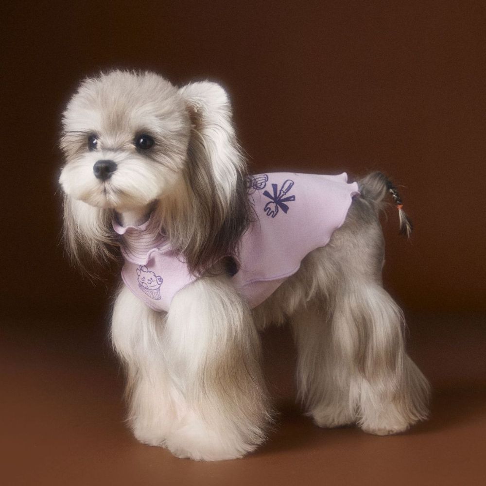 Autumn Reversible Striped Ruffle Undershirt Sleeveless Dog Vest