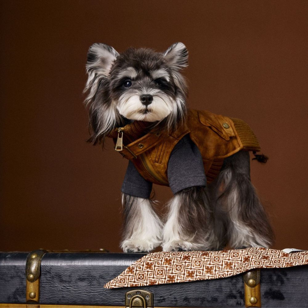 Autumn Vintage Cool Sleeveless Leather Dog Vest