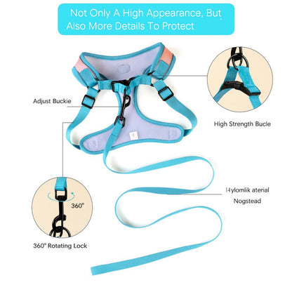 Dog Harness Walking