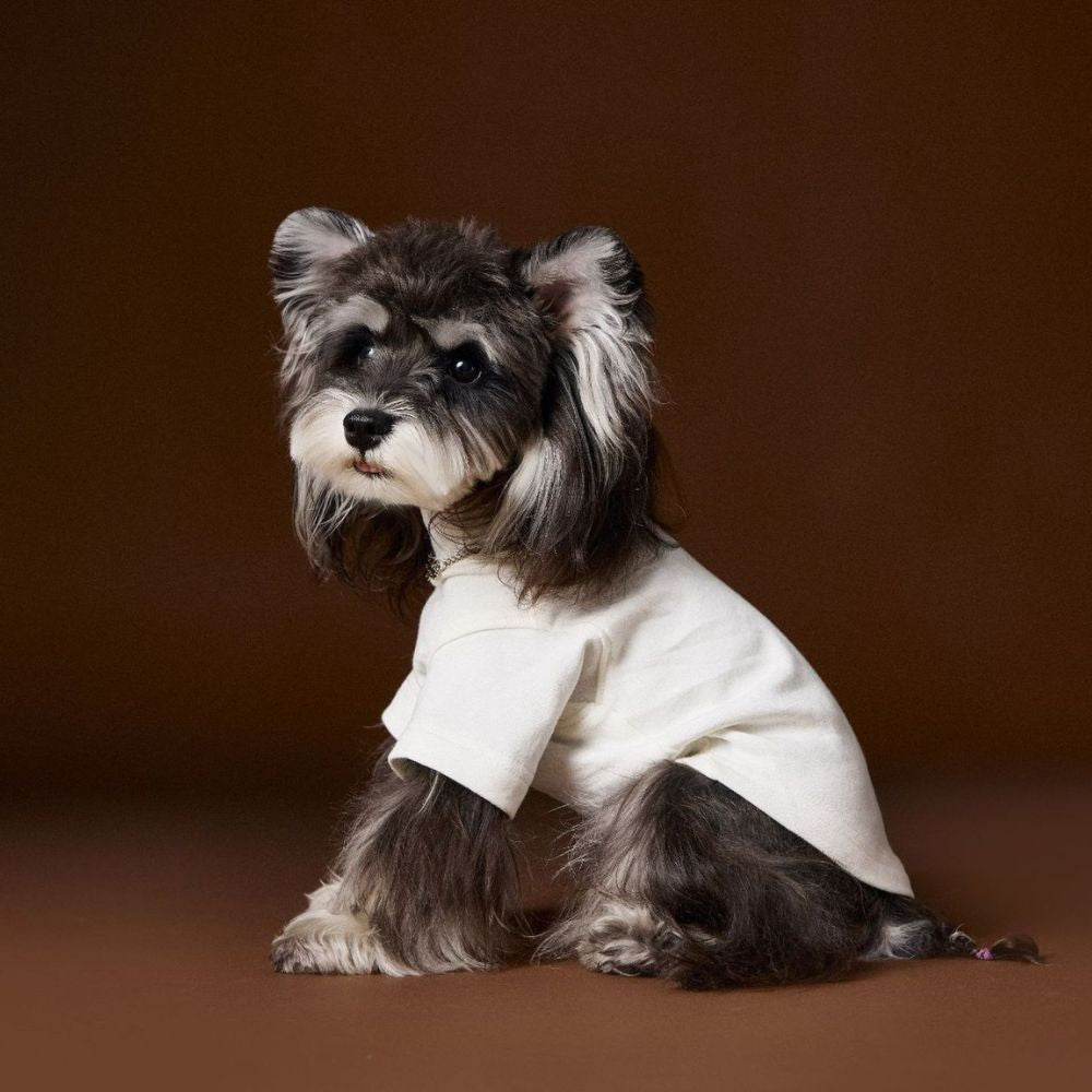 Stylish Solid Color Dog Necklace Two Leg Undershirt Shirt