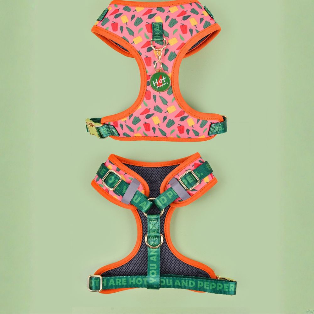 Prints and Durable Dog