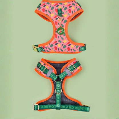 Prints and Durable Dog