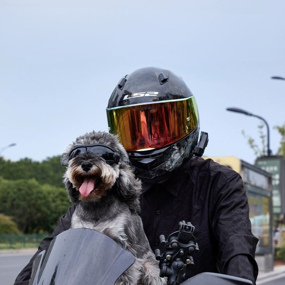 Adjustable UV Protection Dog Goggles – Stylish Pet Sunglasses for Outdoor Adventures