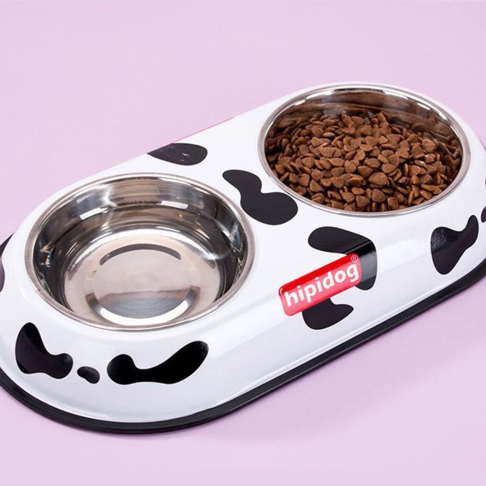 Colorful Printed Double Stainless Steel Pet Bowl