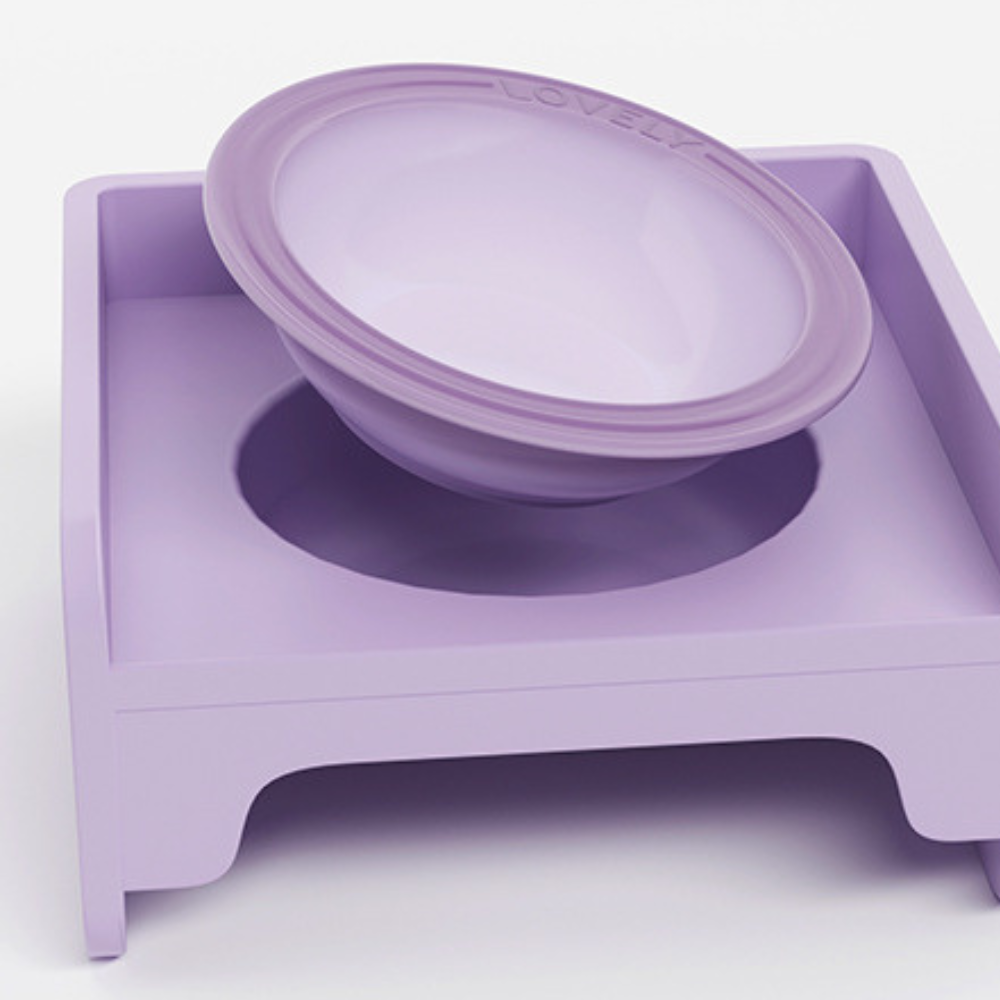Modular Elevated Plastic Pet Bowl with Anti-Spill Design