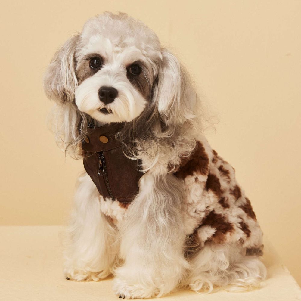 Warm Patchwork Dog Vest for Fall Winter