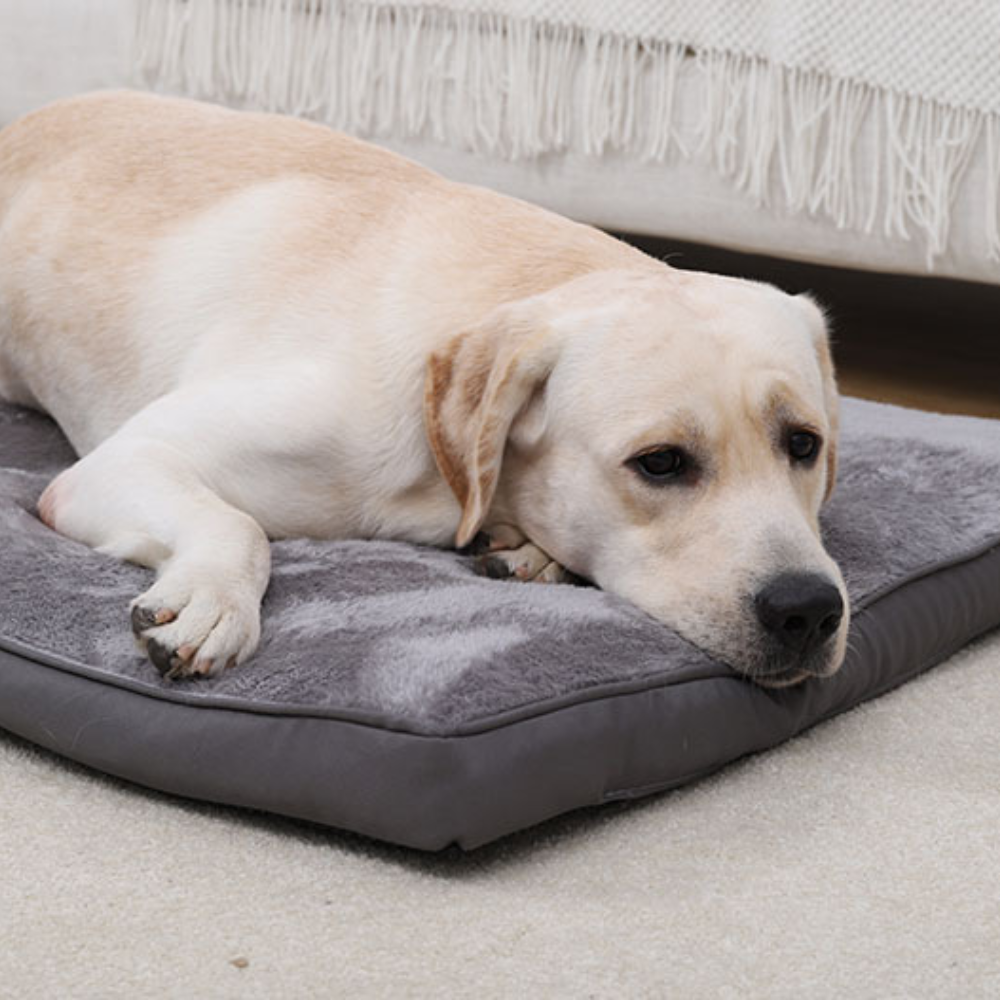 Durable Plush Washable Scratch-Resistant Large Dog Bed