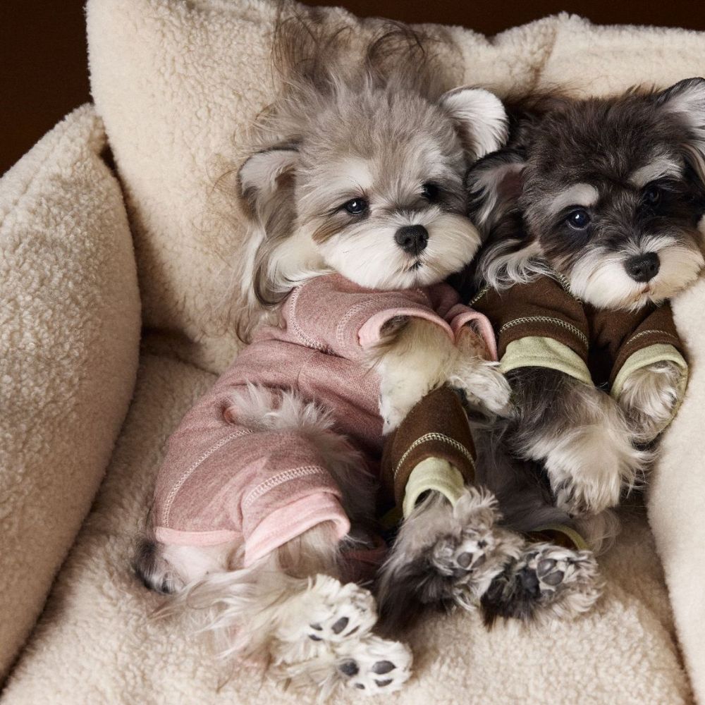 Autumn Winter Cozy Color-Block Silk Wool Dog Base Shirt