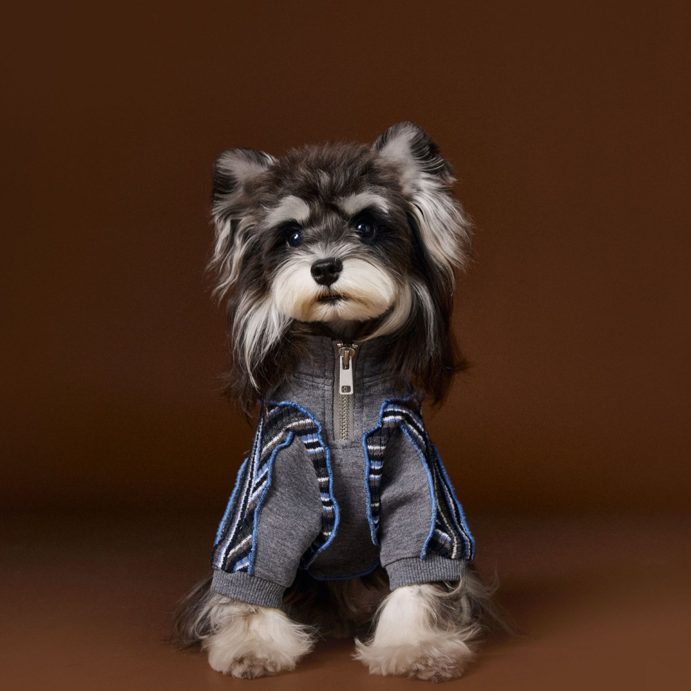 Dog Autumn Sportswear Striped Patchwork Zip-Up Hoodie