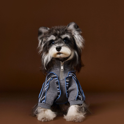 Dog Autumn Sportswear Striped Patchwork Zip-Up Hoodie