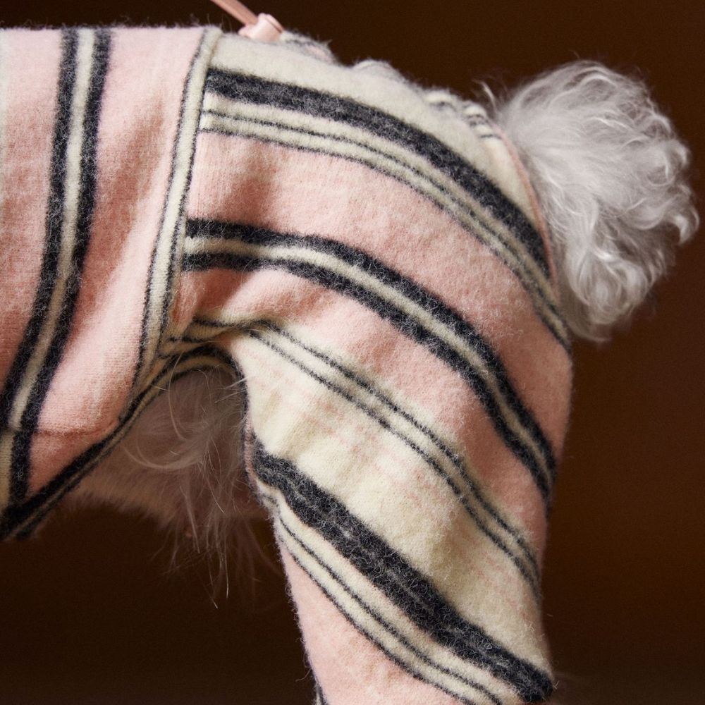 Warm Striped Four-Leg Thick Undershirt Dog Sweatshirt