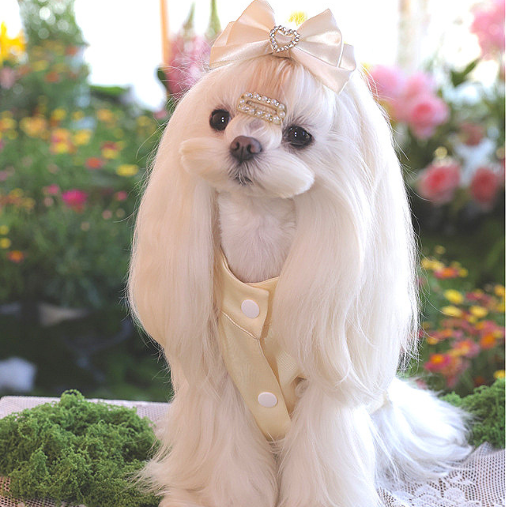 High-end pet dress with rhinestones for small breed dogs
