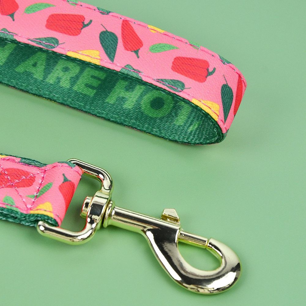 Patterned Dog Leash