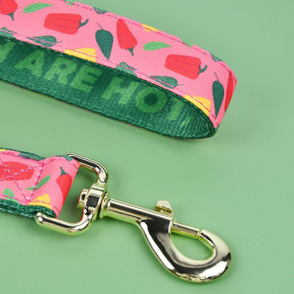 Patterned Dog Leash