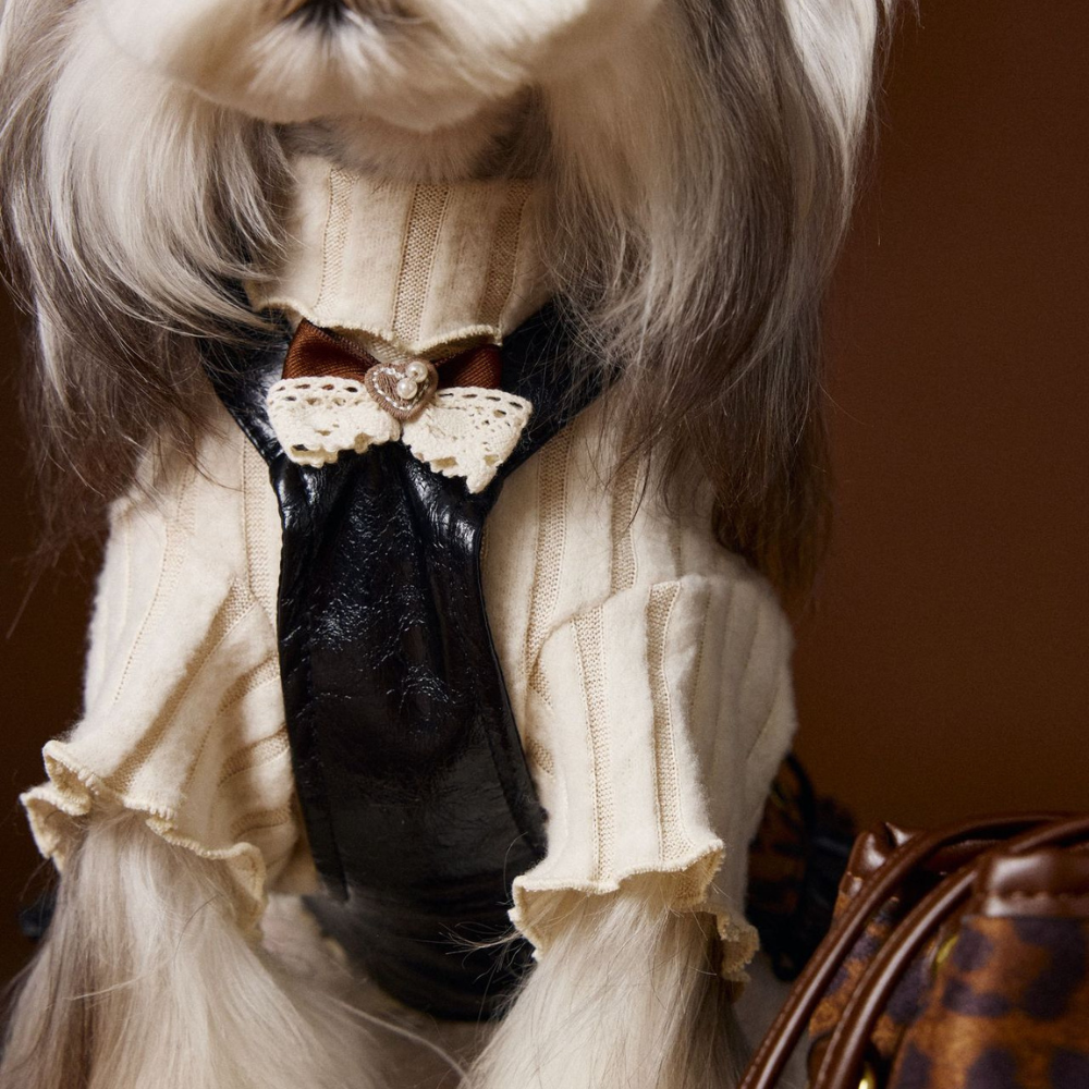 Autumn Lace Bow Dog Shirt for Female Dogs