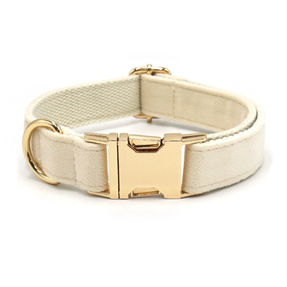 Personalized Velvet Dog Collar with Custom Engraved Metal Buckle